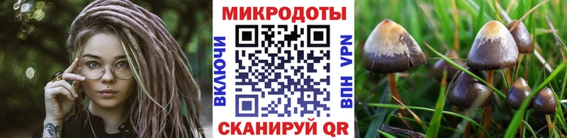 даркнет сайт  mega зеркало  Псилоцибиновые грибы мухоморы  Нарткала 